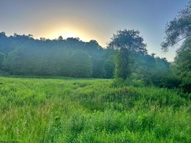 0 Saltlick Road, Terra Alta, WV 26764