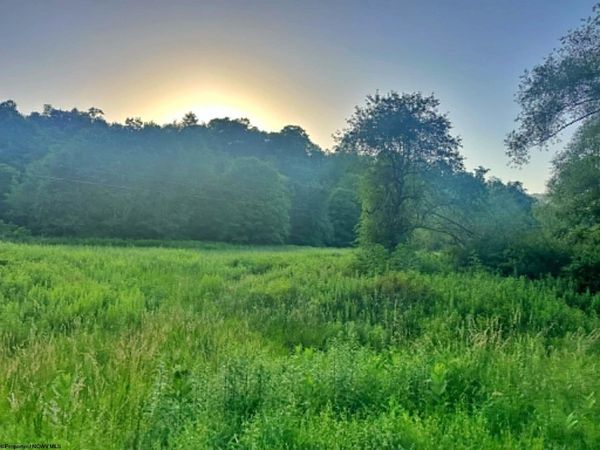 0 Saltlick Road, Terra Alta, WV 26764