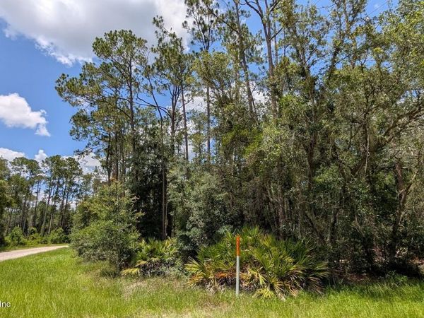 301 WHISPERING PINES Road, Georgetown, FL 32139