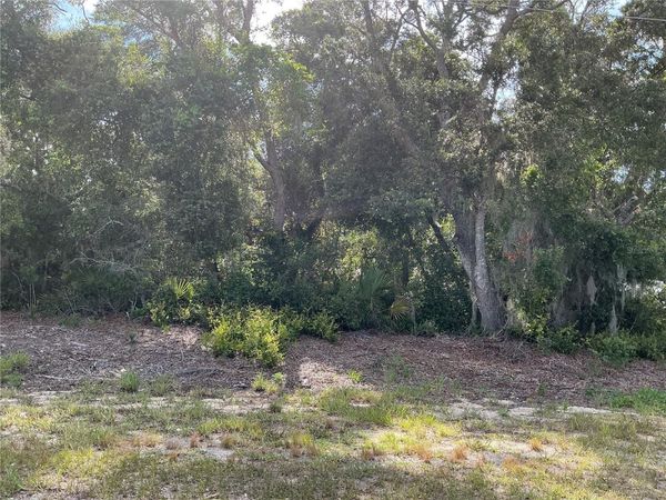 OLIVE ROAD , OCALA, FL 34472