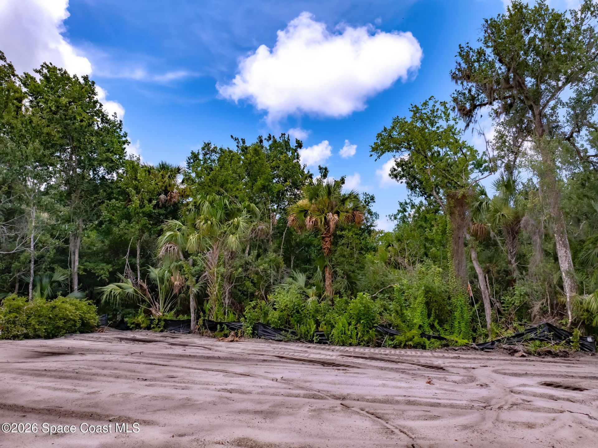 3580 Weeping Willow Street , Melbourne, FL 32934 Photo