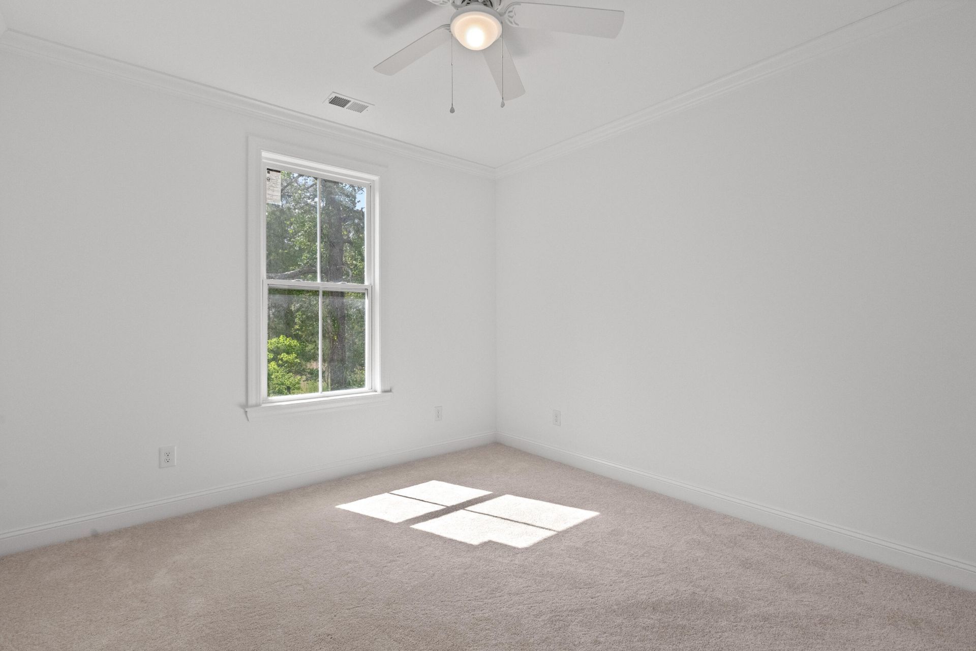 265 Pickens Street Photo 27