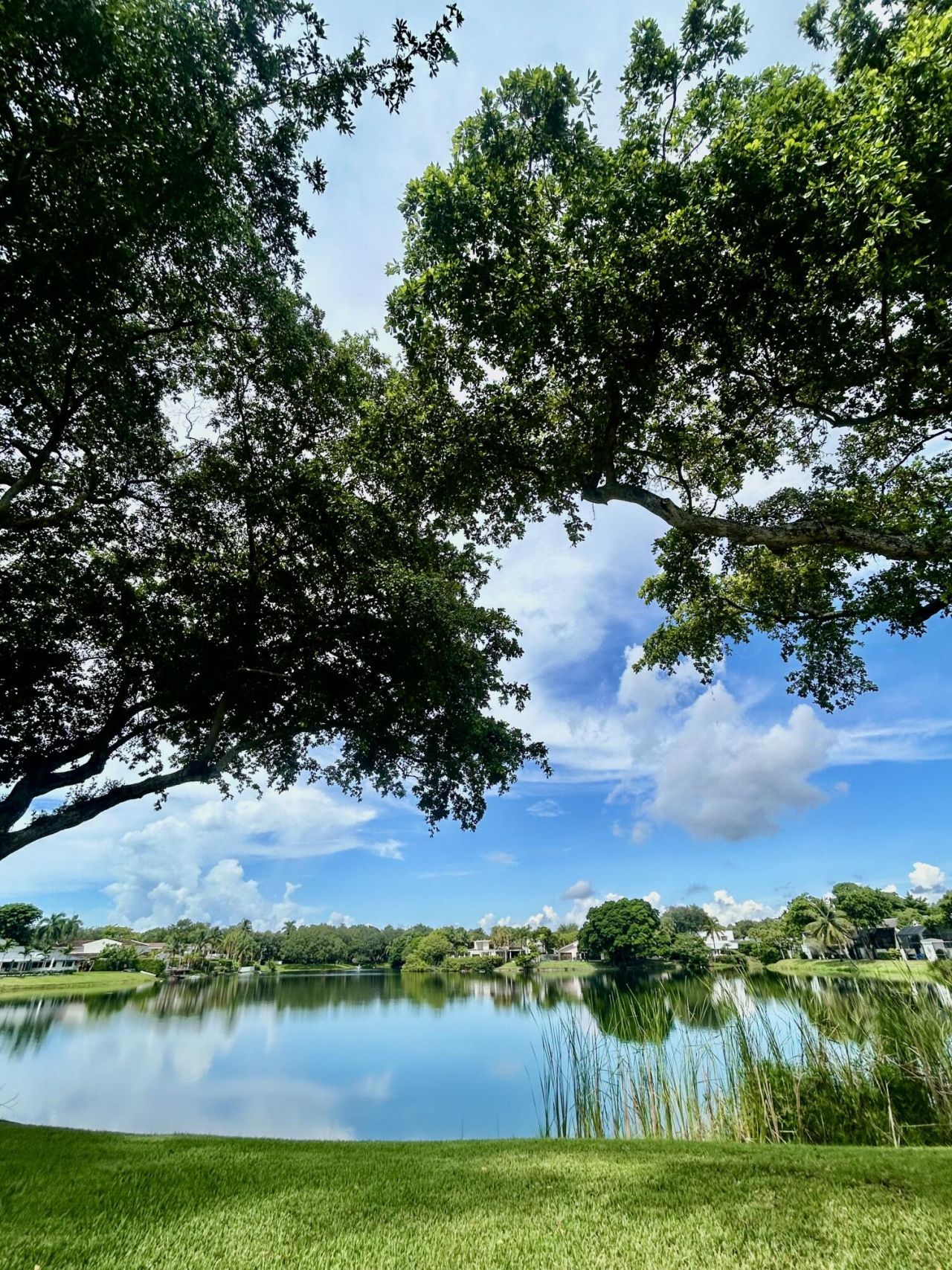 3015 Oaktree Lane, Unit 277, Hollywood, FL 33021 Photo