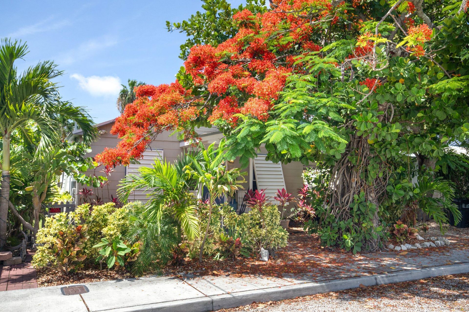 3712 Duck Avenue, Key West, FL 33040 Photo