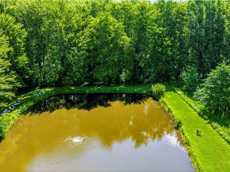 4370 Murphy Road, Thompson, OH 44086 Photo 14