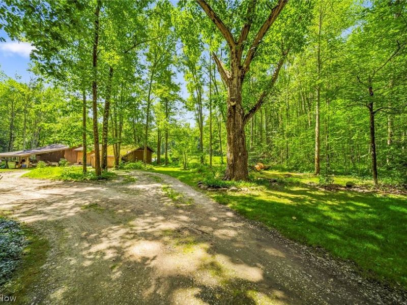 4370 Murphy Road, Thompson, OH 44086 Photo 27