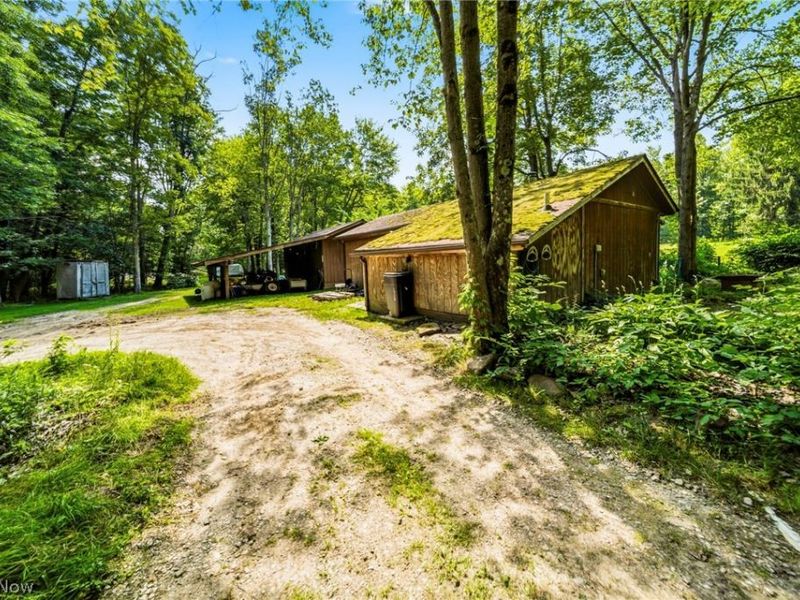 4370 Murphy Road, Thompson, OH 44086 Photo 28