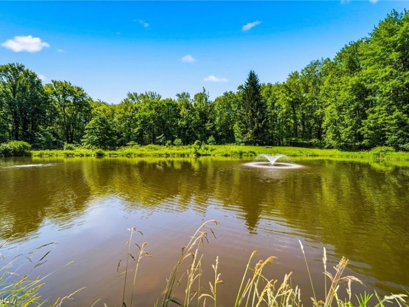 4370 Murphy Road, Thompson, OH 44086 Photo 34