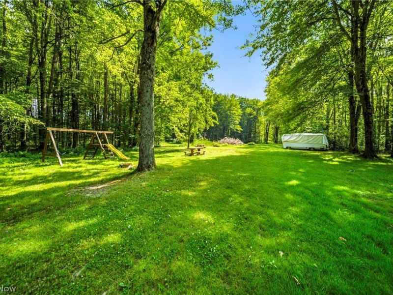 4370 Murphy Road, Thompson, OH 44086 Photo 50