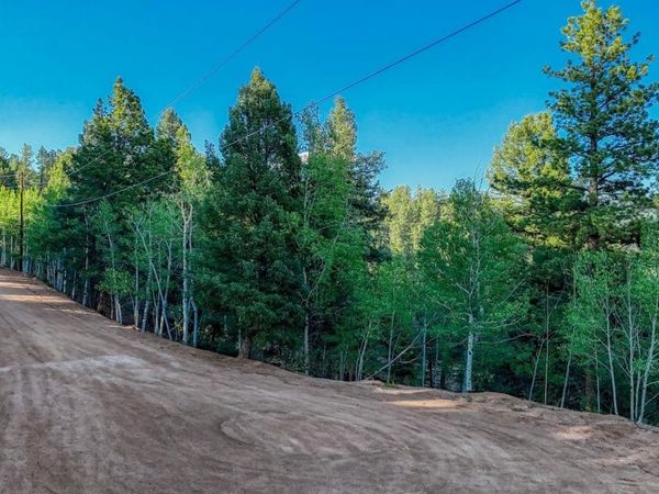 364 Blue Spruce Road , Divide, CO 80814