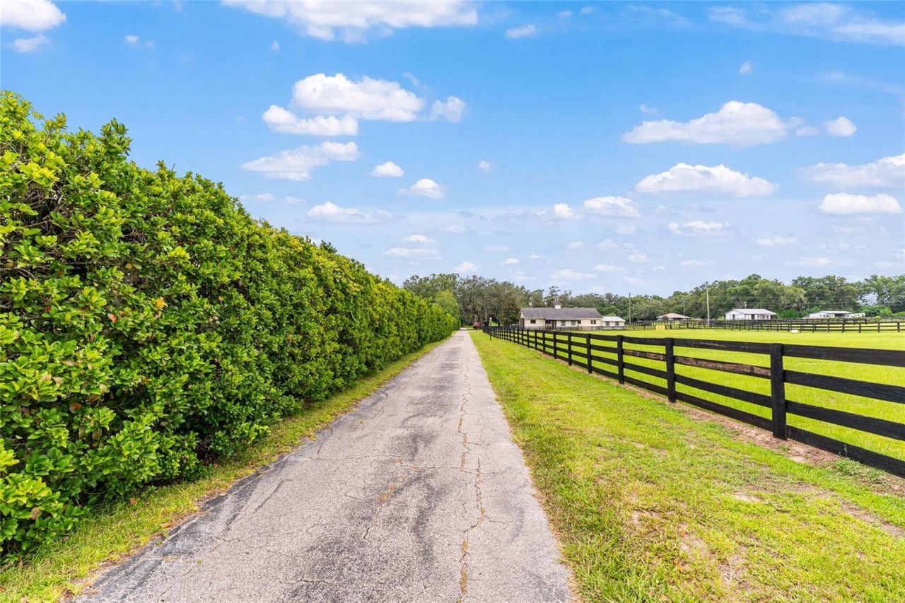 11851 SW 38th Street, Ocala, FL 34481 Photo