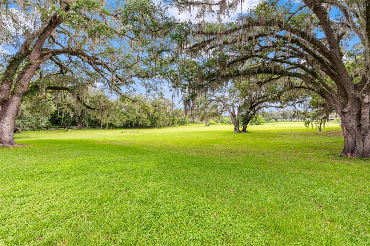 11851 SW 38th Street, Ocala, FL 34481 Photo