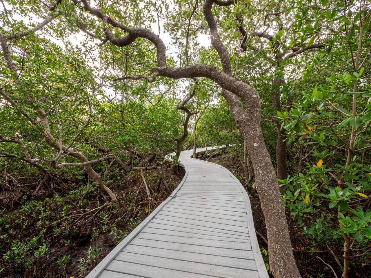 5260 Gulf Of Mexico Drive, Unit 413, Longboat Key, FL 34228 Photo
