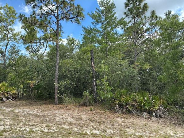 PERSIMMON AVENUE , WEEKI WACHEE, FL 34614