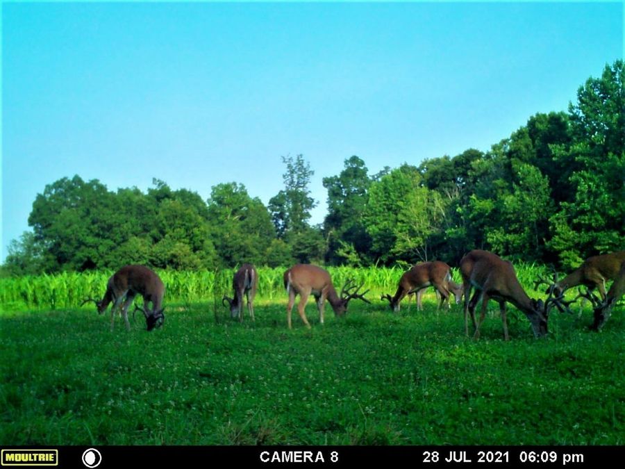 Property Image 8