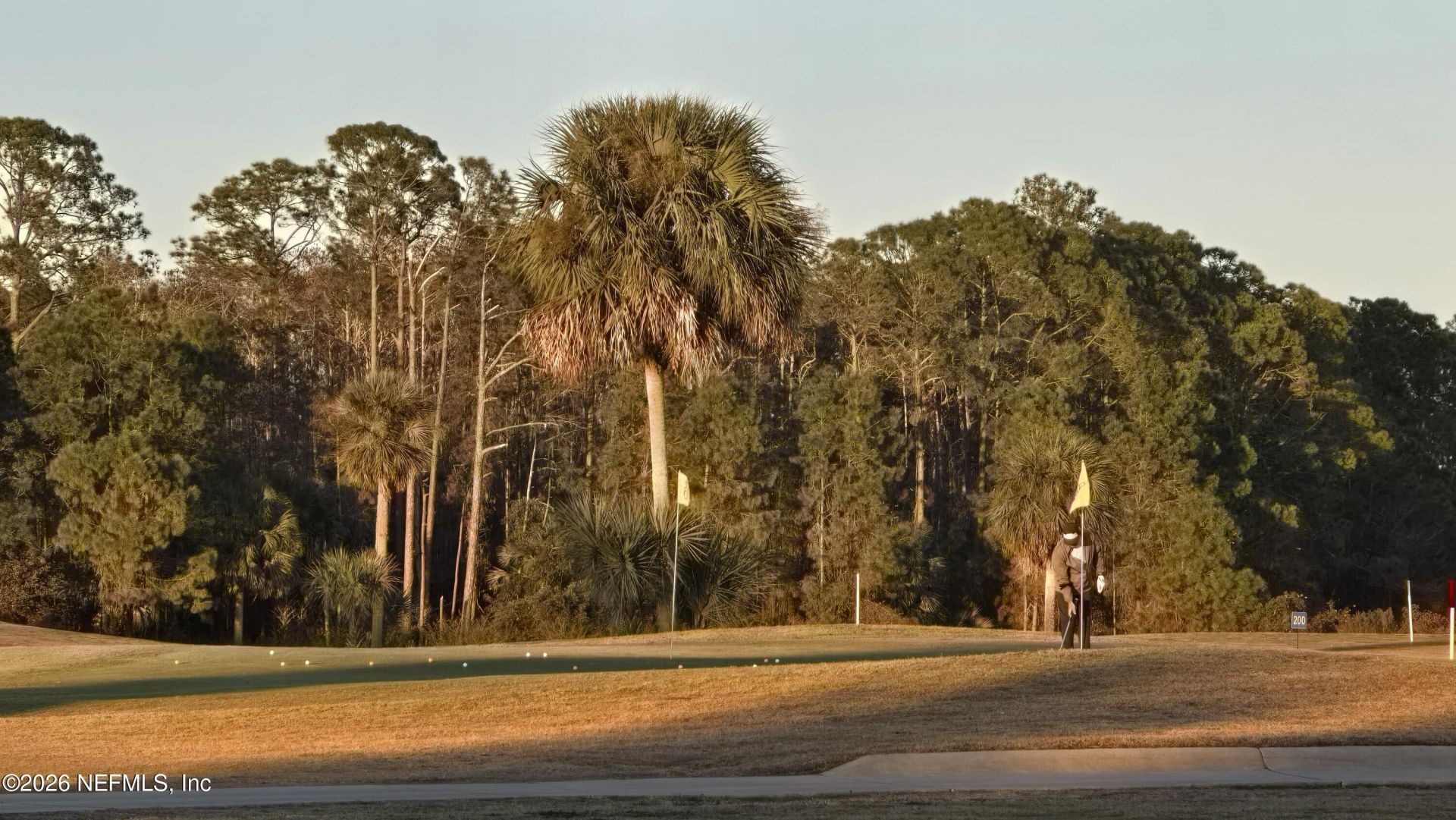 367 Caryota Court, New Smyrna Beach, FL 32168 Photo