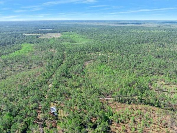 0 CARTER STREET , BUNNELL, FL 32110
