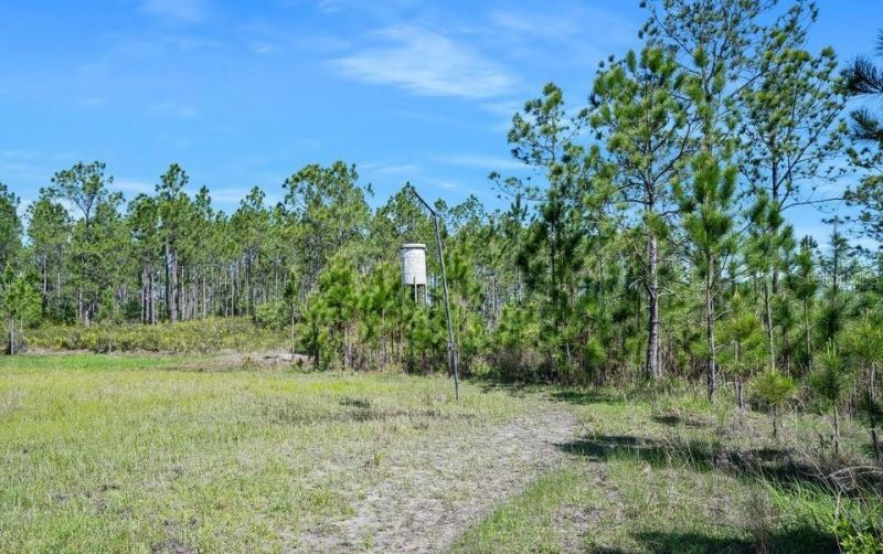0 Carter Street , Bunnell, FL 32110 Photo