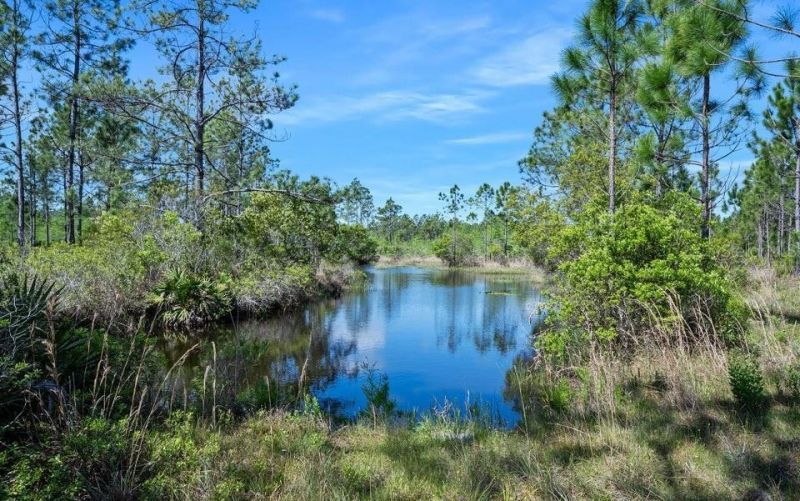 0 Carter Street , Bunnell, FL 32110 Photo