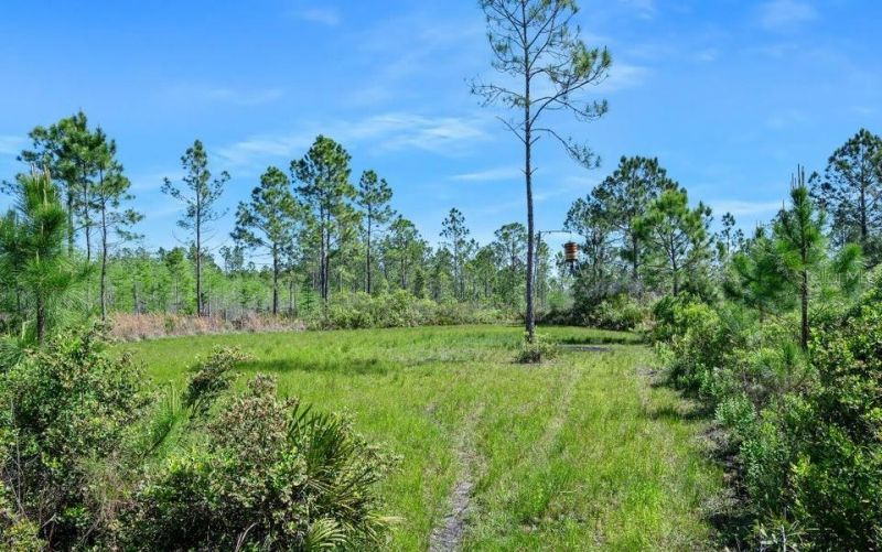 0 Carter Street , Bunnell, FL 32110 Photo