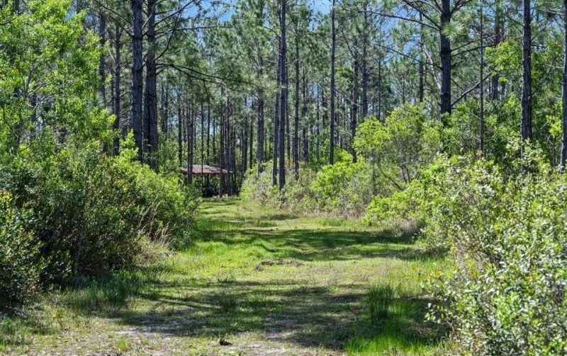 0 Carter Street , Bunnell, FL 32110 Photo