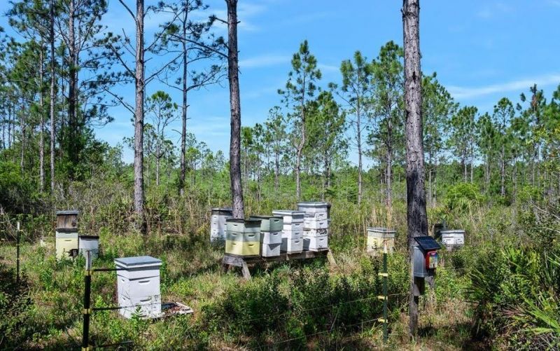 0 Carter Street , Bunnell, FL 32110 Photo