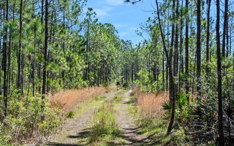 0 Carter Street , Bunnell, FL 32110 Photo
