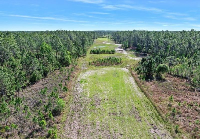 0 Carter Street , Bunnell, FL 32110 Photo