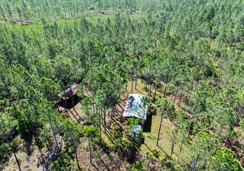 0 Carter Street , Bunnell, FL 32110 Photo
