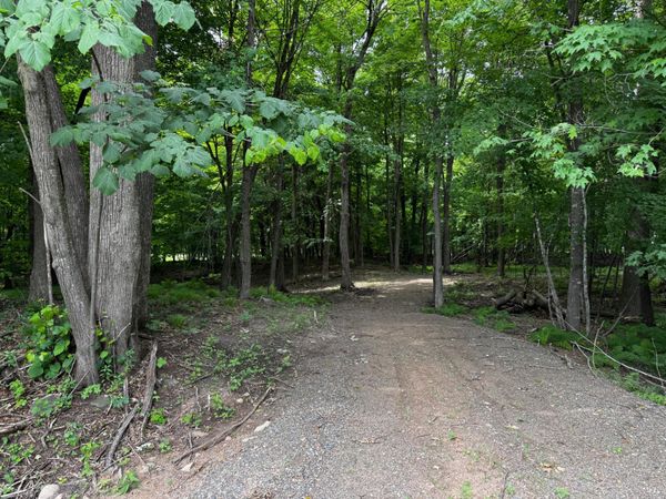 XXX County Road I , Balsam Lake, WI 54810