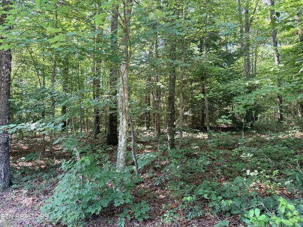 390 Georgee Rd, Jamestown, TN 38556
