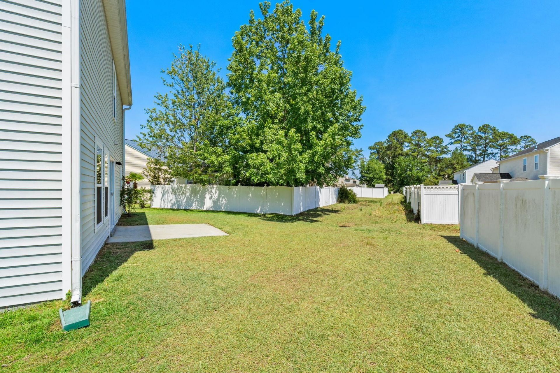 729 Dragon Fly Dr. Photo 43