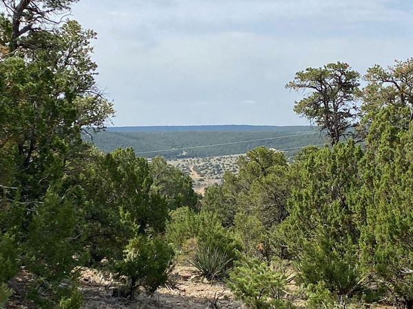5 Mormon Road, Edgewood, NM 87015