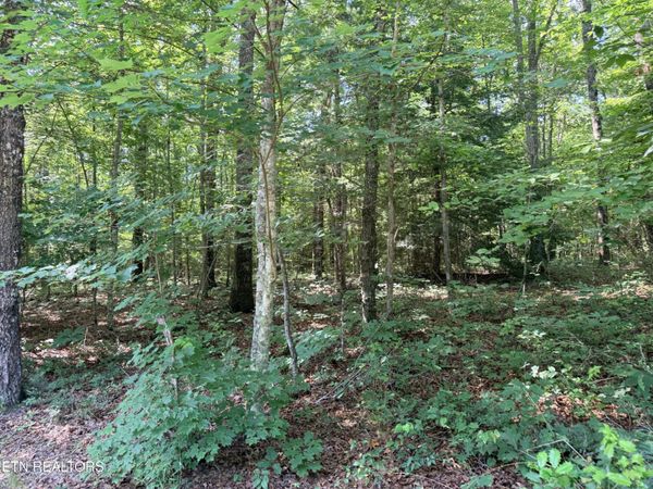 390 Georgee Rd , Unit 78, Jamestown, TN 38556