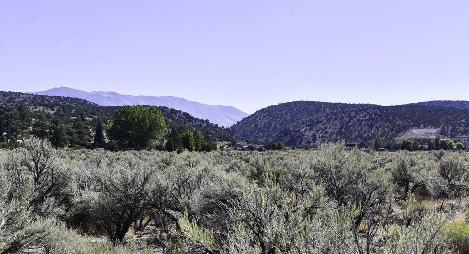 330 Veris Court, Lot #1, Gardnerville, NV 89410 Photo