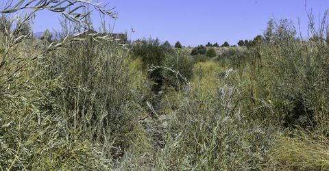 330 Veris Court, Lot #1, Gardnerville, NV 89410 Photo