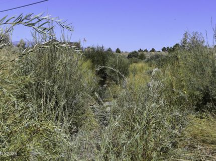 330 Veris Court, Lot #1, Gardnerville, NV 89410 Photo