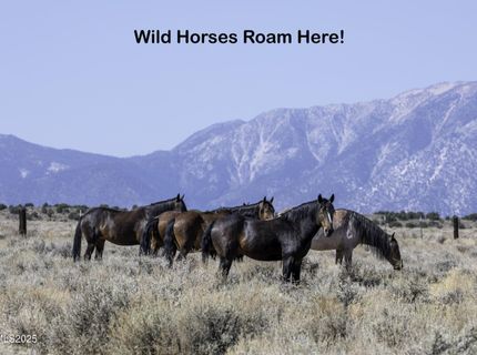 330 Veris Court, Lot #1, Gardnerville, NV 89410 Photo