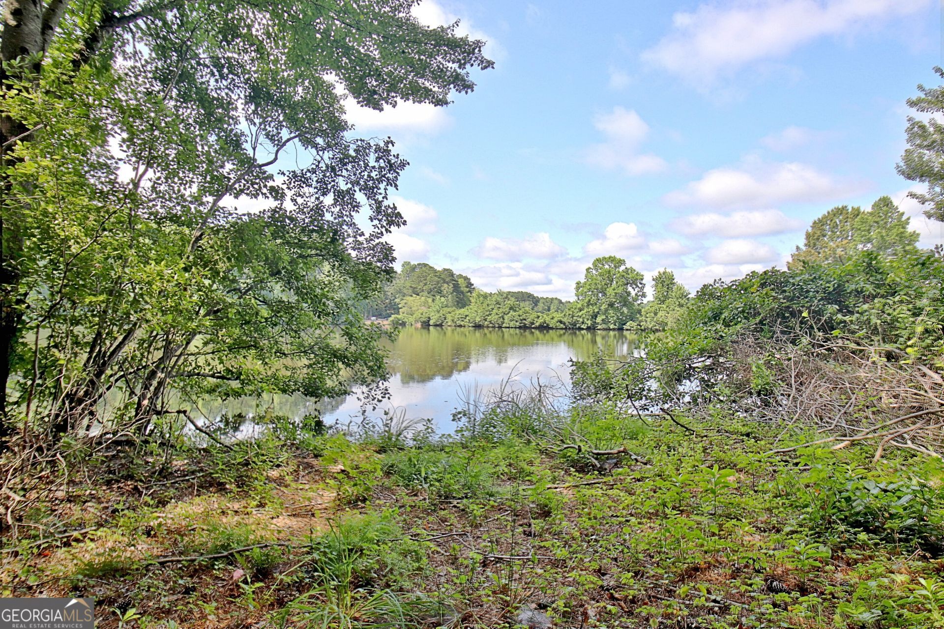 121 Lakeside Drive, Peachtree City, GA 30269 Main Photo