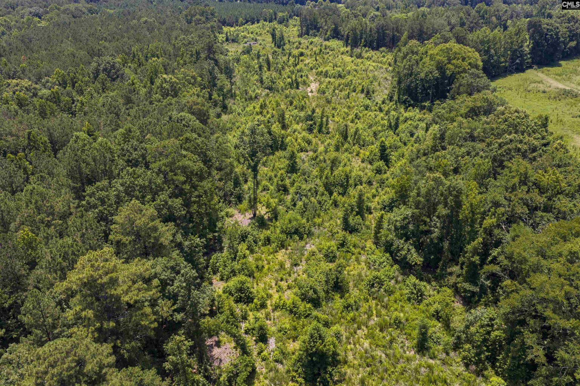 Stevens Road  Photo 10
