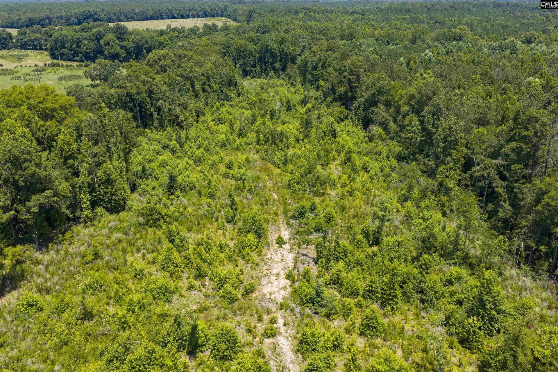 Stevens Road  Photo 13