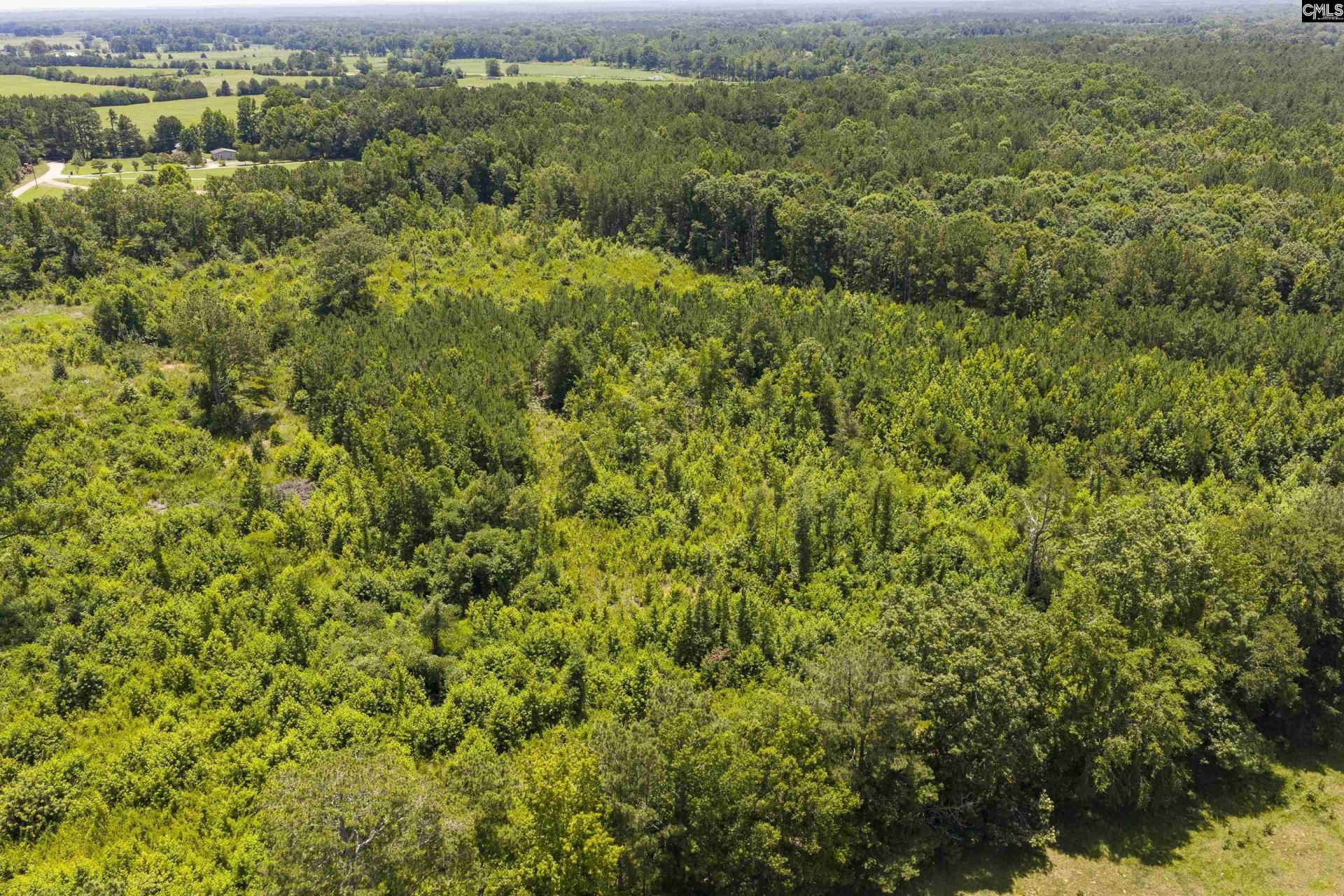 Stevens Road  Photo 17