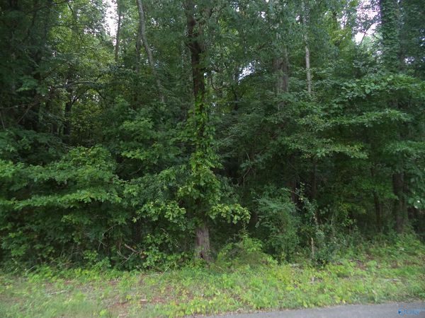 Lot 26 Cottonwood Drive, Hazel Green, AL 35750