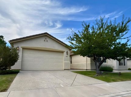 10687 Fire Poppy Circle, Reno, NV 89521 Photo