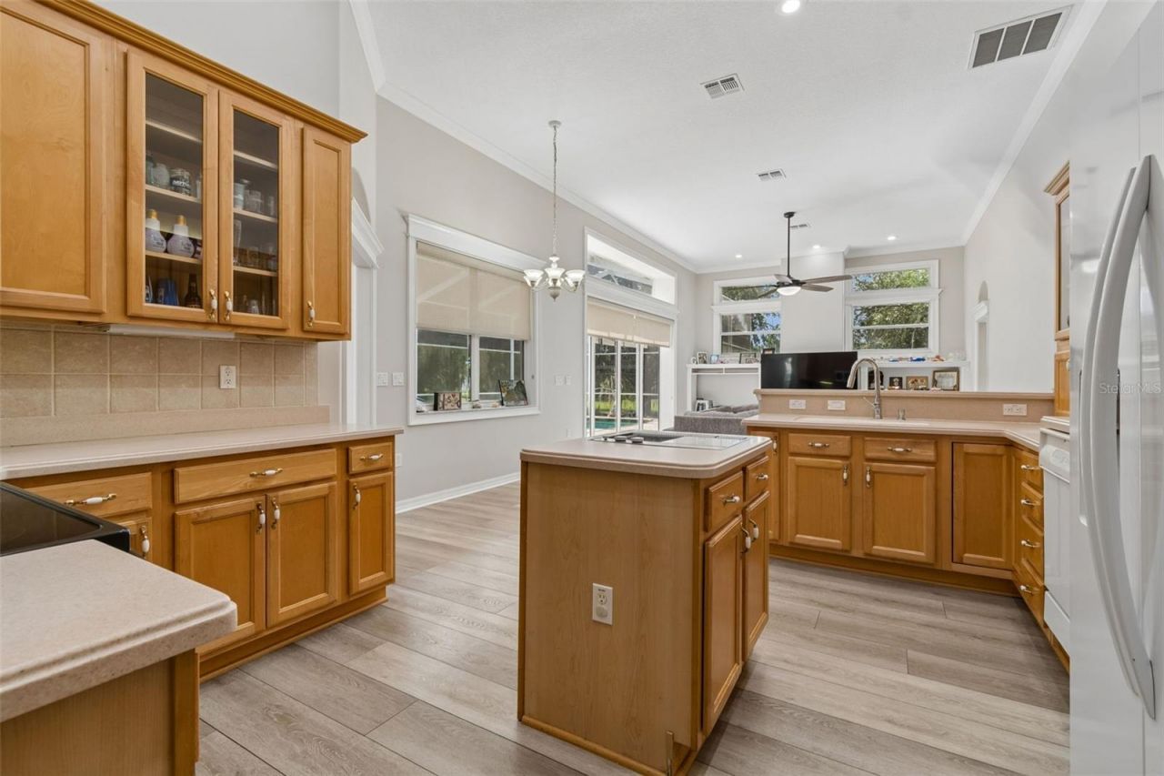 35841 Midden Path , Zephyrhills, FL 33541 Photo