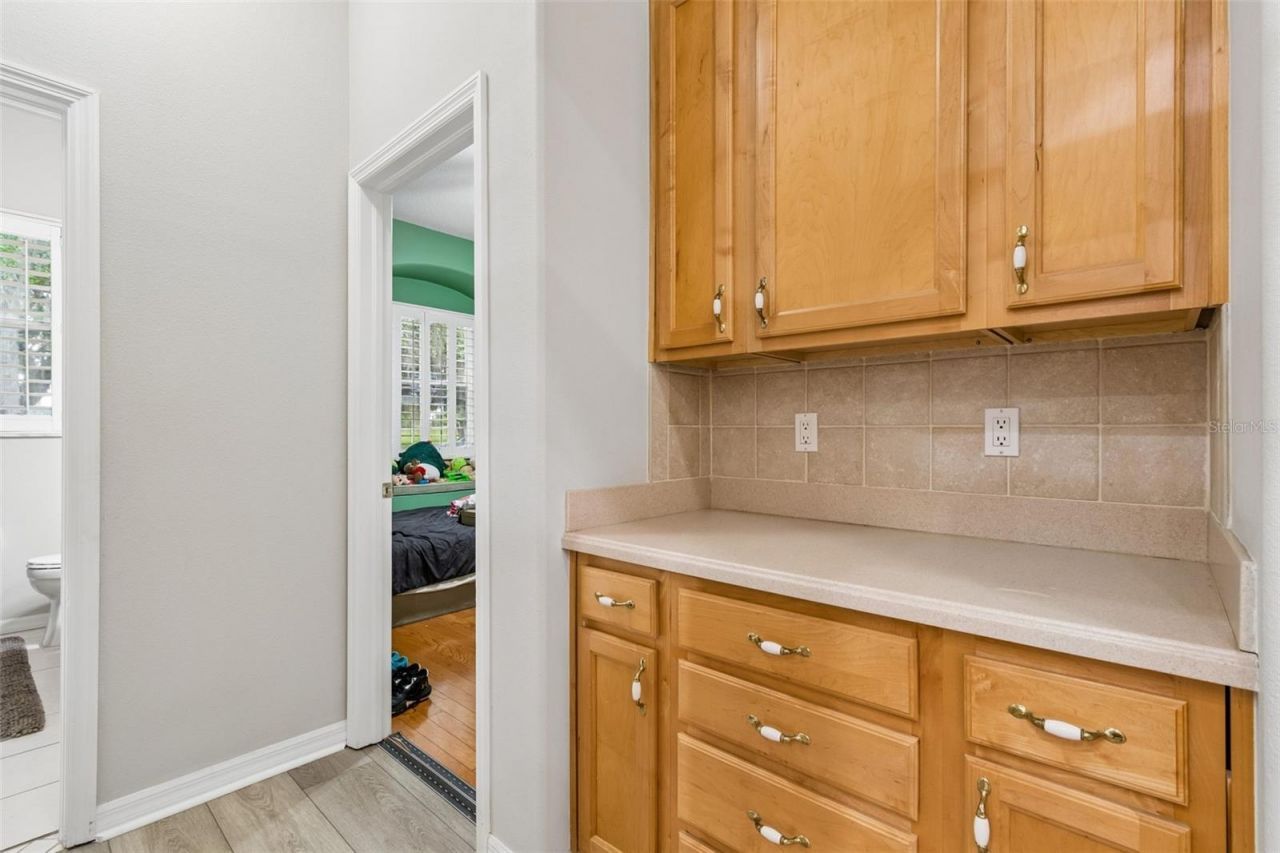 35841 Midden Path , Zephyrhills, FL 33541 Photo