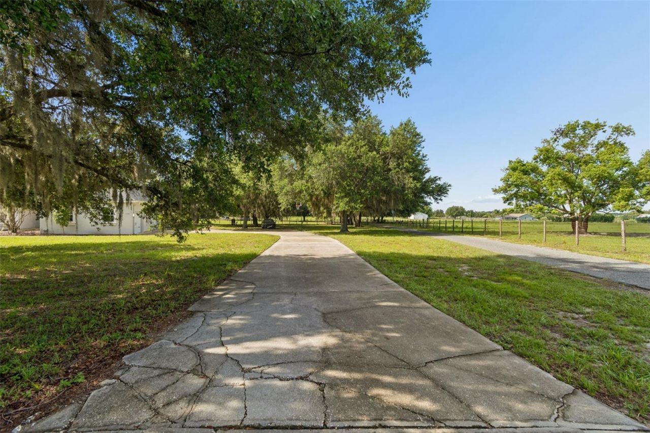 35841 Midden Path , Zephyrhills, FL 33541 Photo