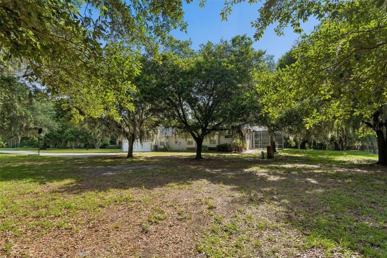 35841 Midden Path , Zephyrhills, FL 33541 Photo