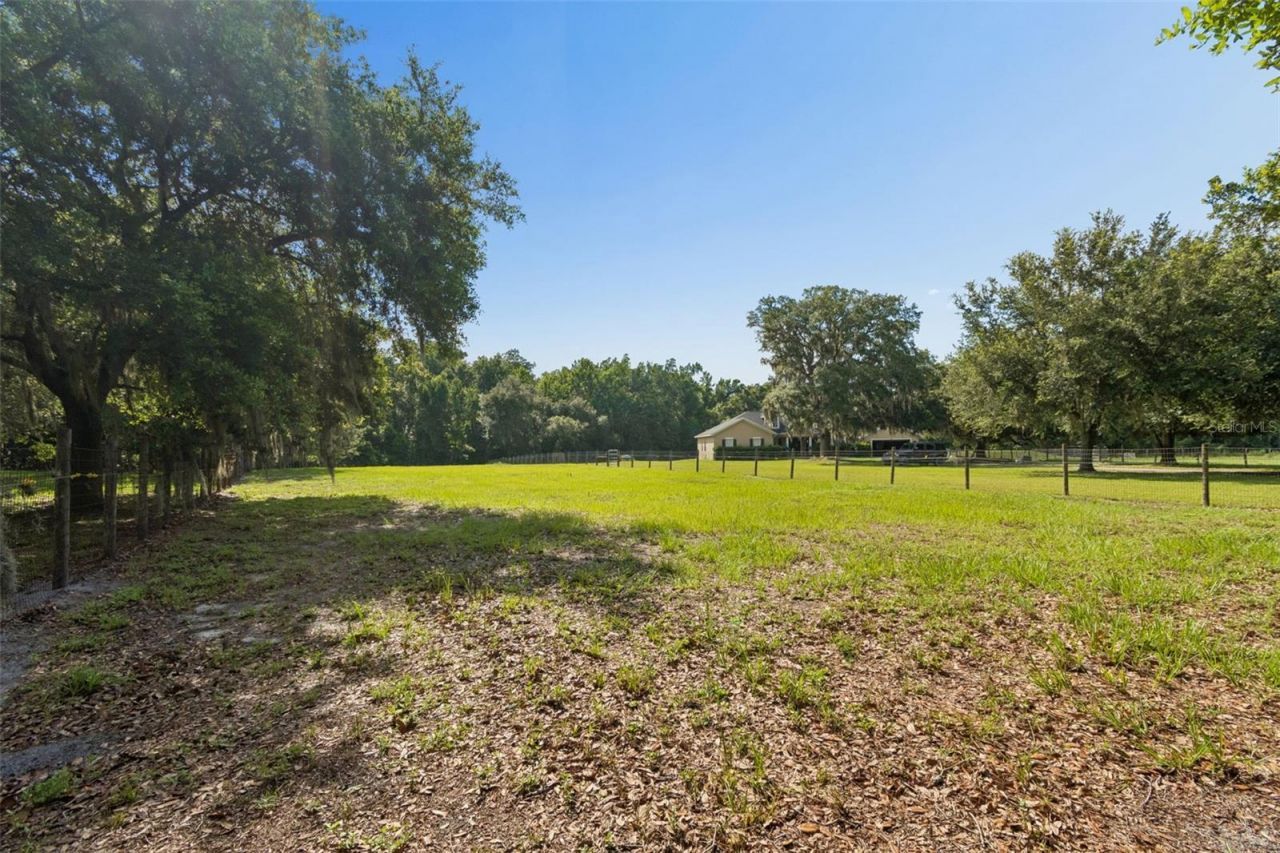 35841 Midden Path , Zephyrhills, FL 33541 Photo