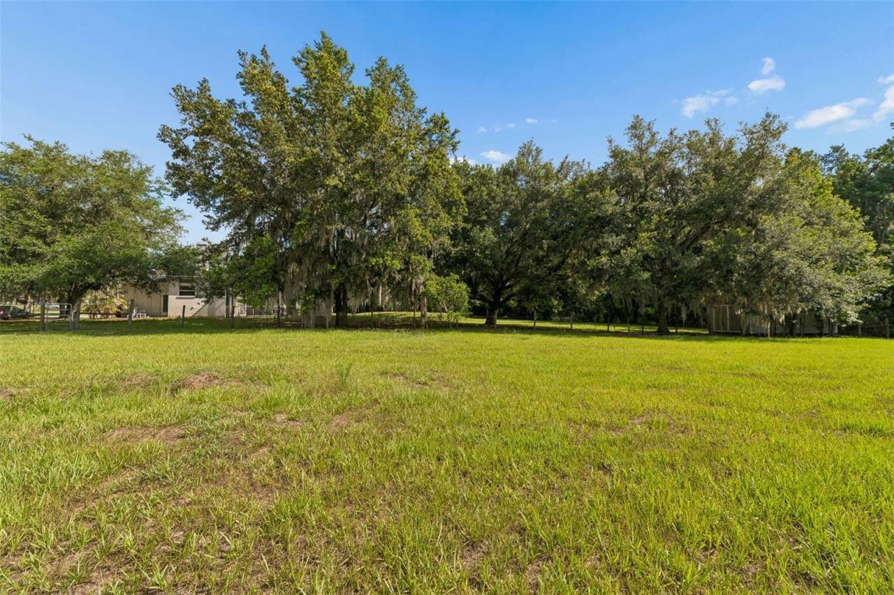 35841 Midden Path , Zephyrhills, FL 33541 Photo